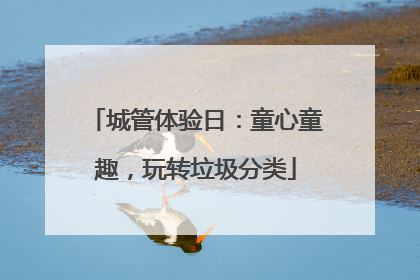 城管体验日：童心童趣，玩转垃圾分类