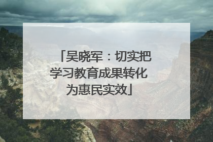 吴晓军：切实把学习教育成果转化为惠民实效