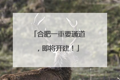 合肥一重要通道，即将开建！