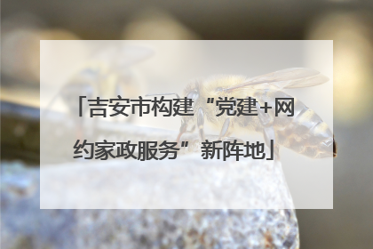 吉安市构建“党建+网约家政服务”新阵地