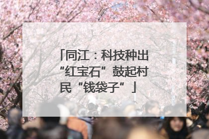 同江：科技种出“红宝石”鼓起村民“钱袋子”