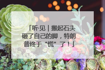 听·见｜搬起石头砸了自己的脚，特朗普终于“慌”了！