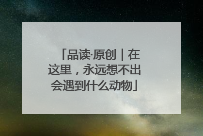 品读·原创｜在这里，永远想不出会遇到什么动物