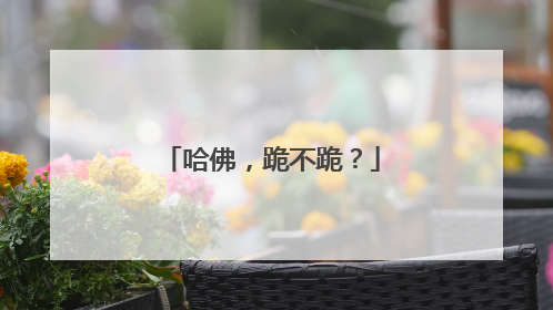 哈佛，跪不跪？