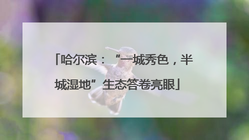 哈尔滨：“一城秀色，半城湿地”生态答卷亮眼