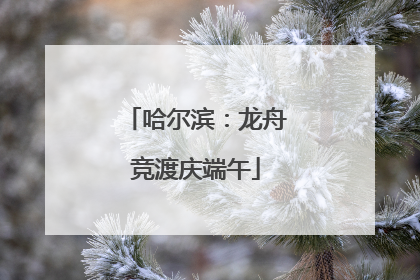 哈尔滨：龙舟竞渡庆端午