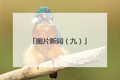 图片新闻（九）
