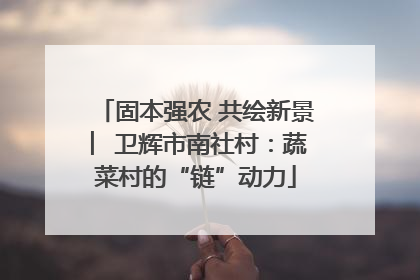 固本强农 共绘新景 ︳卫辉市南社村：蔬菜村的“链”动力