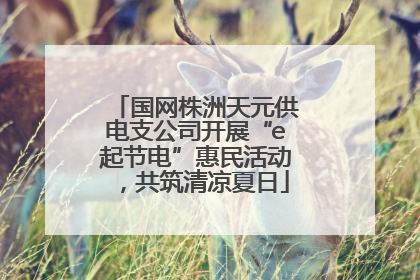 国网株洲天元供电支公司开展“e起节电”惠民活动，共筑清凉夏日