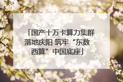 国产十万卡算力集群落地庆阳 筑牢“东数西算”中国底座