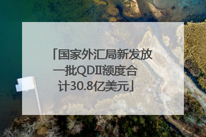 国家外汇局新发放一批QDII额度合计30.8亿美元