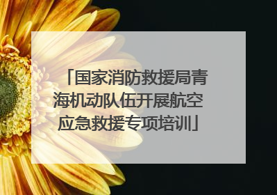 国家消防救援局青海机动队伍开展航空应急救援专项培训