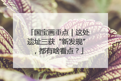 国宝画重点｜这处遗址三获“新发现”，都有啥看点？