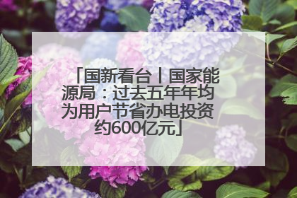 国新看台丨国家能源局：过去五年年均为用户节省办电投资约600亿元