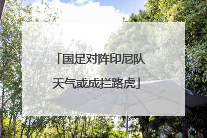国足对阵印尼队 天气或成拦路虎