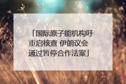 国际原子能机构吁重启核查 伊朗议会通过暂停合作法案