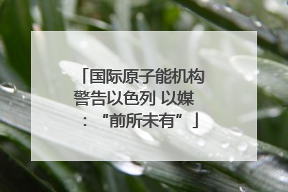 国际原子能机构警告以色列 以媒：“前所未有”
