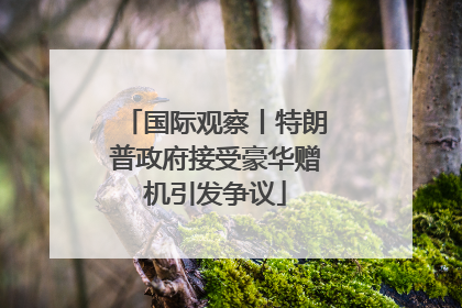 国际观察丨特朗普政府接受豪华赠机引发争议