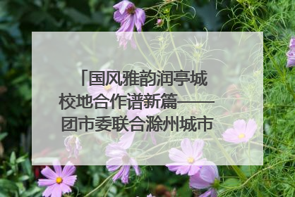 国风雅韵润亭城 校地合作谱新篇——团市委联合滁州城市职业学院助力传统文化“破圈”绽放