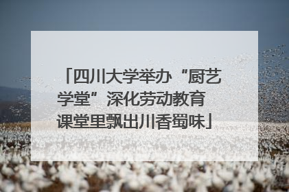 四川大学举办“厨艺学堂”深化劳动教育 课堂里飘出川香蜀味