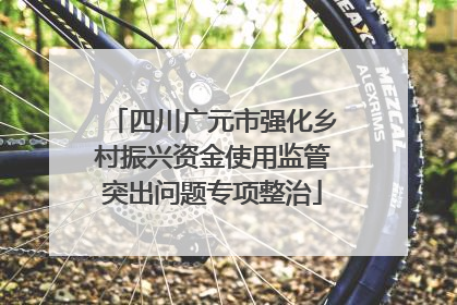 四川广元市强化乡村振兴资金使用监管突出问题专项整治