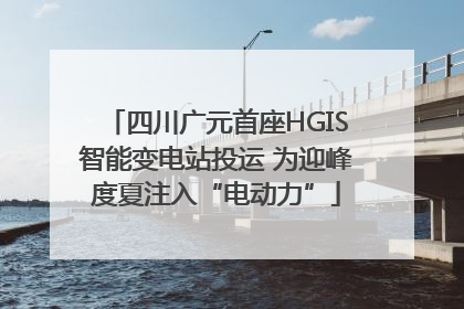 四川广元首座HGIS智能变电站投运 为迎峰度夏注入“电动力”