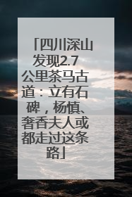 四川深山发现2.7公里茶马古道：立有石碑，杨慎、奢香夫人或都走过这条路