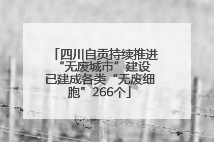 四川自贡持续推进“无废城市”建设 已建成各类“无废细胞”266个