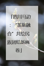 四川马边：“茶旅融合”共绘民族团结新画卷