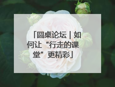圆桌论坛｜如何让“行走的课堂”更精彩