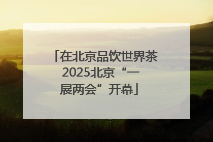 在北京品饮世界茶 2025北京“一展两会”开幕