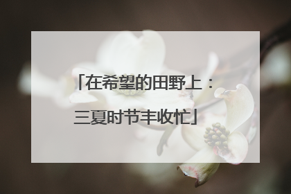 在希望的田野上：三夏时节丰收忙
