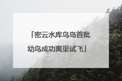 密云水库鸟岛首批幼鸟成功离巢试飞