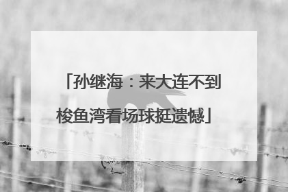 孙继海：来大连不到梭鱼湾看场球挺遗憾