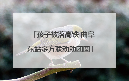 孩子被落高铁 曲阜东站多方联动助团圆