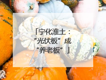 宁化淮土：“光伏板”成“养老板”