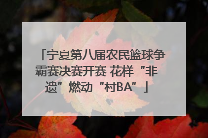 宁夏第八届农民篮球争霸赛决赛开赛 花样“非遗”燃动“村BA”