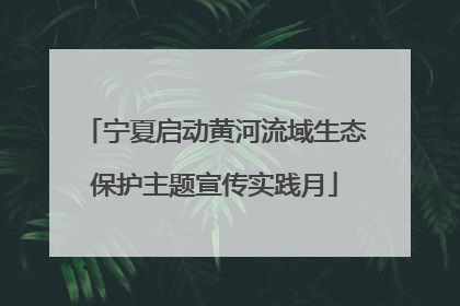 宁夏启动黄河流域生态保护主题宣传实践月