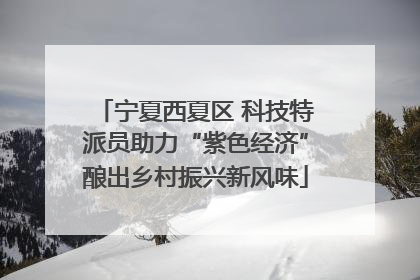 宁夏西夏区 科技特派员助力“紫色经济”酿出乡村振兴新风味
