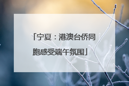 宁夏：港澳台侨同胞感受端午氛围