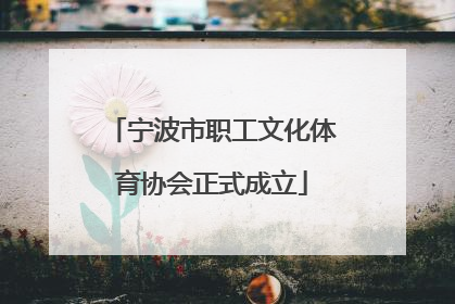 宁波市职工文化体育协会正式成立