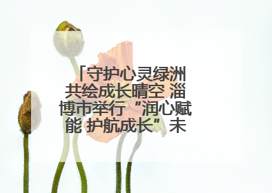 守护心灵绿洲 共绘成长晴空 淄博市举行“润心赋能 护航成长”未成年人心理健康宣传教育主题活动