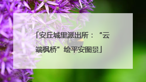 安丘城里派出所：“云端枫桥”绘平安图景