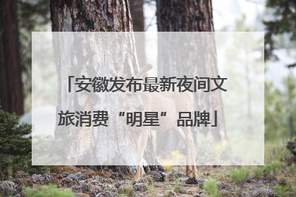 安徽发布最新夜间文旅消费“明星”品牌