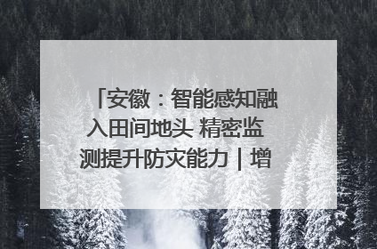 安徽：智能感知融入田间地头 精密监测提升防灾能力｜增发国债气象项目落地见效系列报道