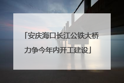 安庆海口长江公铁大桥力争今年内开工建设
