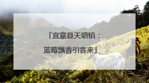 宜章县天塘镇：蓝莓飘香引客来
