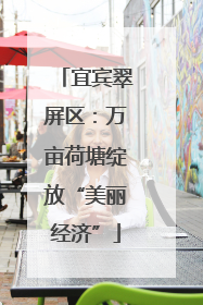 宜宾翠屏区：万亩荷塘绽放“美丽经济”