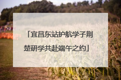 宜昌东站护航学子荆楚研学共赴端午之约
