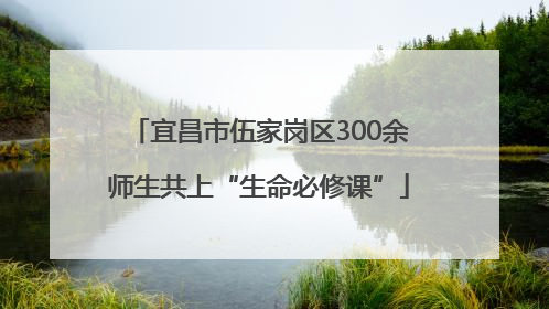 宜昌市伍家岗区300余师生共上“生命必修课”
